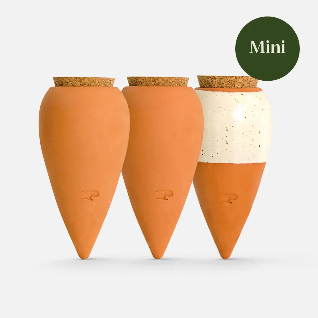 Produktbild von Pepin Olla Terrakotta | Automatische Und Umweltfreundliche Bewässerung | Natürliche Autonomie Ca. 1 Woche | Oya Gestreift Orange